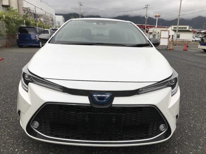 Toyota-Corolla-2019(WXB)