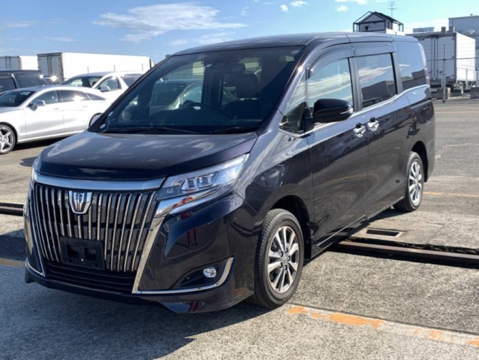 Toyota-Esquire-2019(Gi Premium Package )